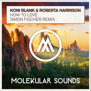 How to Love (Simon Fischer Remix) - Single