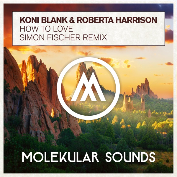 How to Love (Simon Fischer Remix) - Single