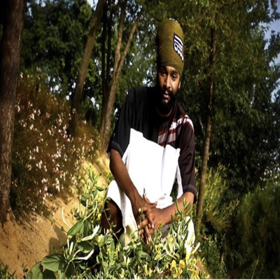 Don tu be afraid (feat. High Frecuency & Dub Terminator) - Single