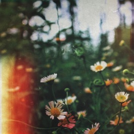 Paper Birds Quentin tch