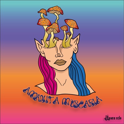 Amanita Muscaria - Single