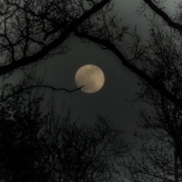 Losing My Soul - Single - makeoutcy