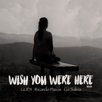 Wish You Were Here (Remix) - Single - Gudi, Ricardo Pazos & Ga Salvia
