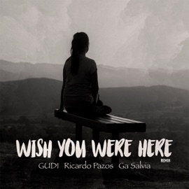 Wish You Were Here (Remix) Gudi, Ricardo Pazos & Ga Salvia