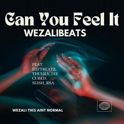 Can You Feel It (feat. D3ftBeatzSA, Thulily, Jay Cubed & Slish_RSA) - Single