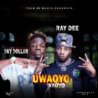Ray Dee Uwaoyo Waoyo (feat. Sky Dollar) - Single - Pickwap Music