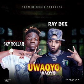 Ray Dee Uwaoyo Waoyo (feat. Sky Dollar) Pickwap Music