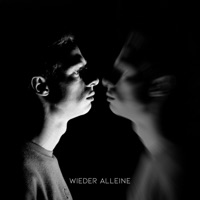Wieder alleine - Single - Lasse Siebel