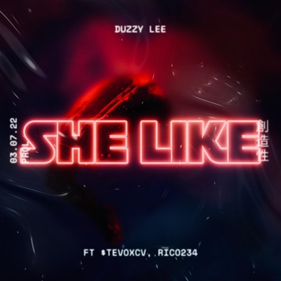 She Like (feat. $tevoxcv & Riko234) - Single