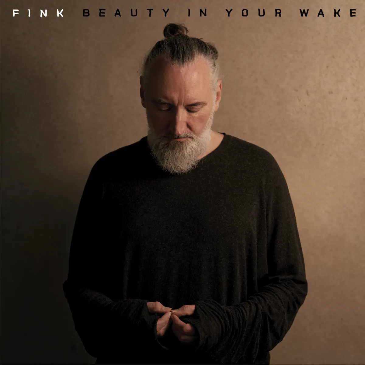 Fink - Beauty In Your Wake (2024) [iTunes Plus AAC M4A]-新房子