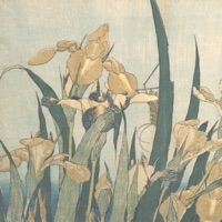 Asteroid Belt - EP - NK Music & Milkz