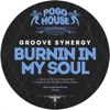 Burnin in My Soul - Single
