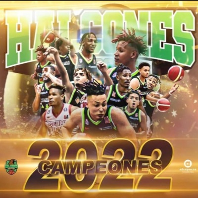 Halcones (feat. Brarfey Star, Ñaño Agua & Guxxi Robin) - Single