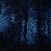 the fall (feat. sc0ttryan) - Single - Ezekiel