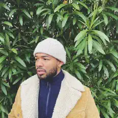 Swadeを聴いたり、ミュージックビデオを鑑賞したり、経歴やツアー日程などを確認したりしましょう！