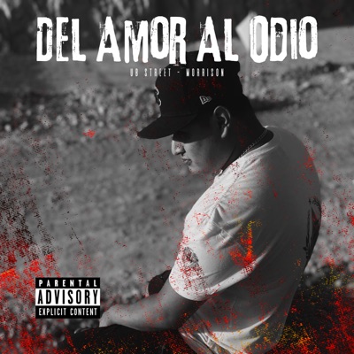Del Amor al Odio - Single