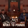 Naira to Pounds - Single