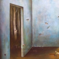 Take a Shine - Single - Loek Van Den Berg