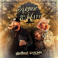 El Árbol del Mayo - Single - El Fantasma & Enigma Norteño