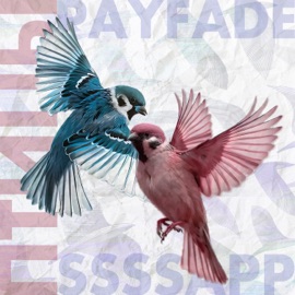 Птицы ssssapp & PayFade