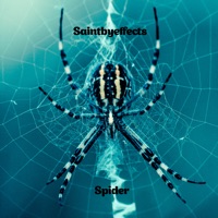 Spider - Single - saintbyeffects