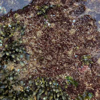 Rethink (Waned Remix) - EP