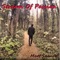 Stream of Passion - The Sessions Matt Spence lyrics