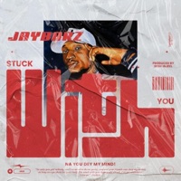 Stuck With You - Single - Jaybarz