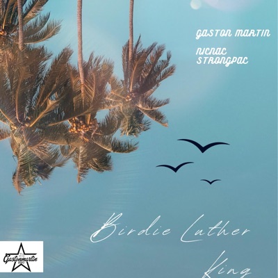 BIRDIE LUTHER KING (feat. NicNac StrongPac) - Single