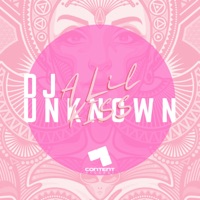A Lil Kiss - Single - DJ Unknown