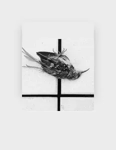 Escucha a Obdach, mira vídeos musicales, lee la biografía, consulta fechas de giras y mucho más.