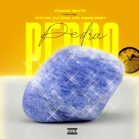 Pedra (feat. Wav3s, Rui Dias, Ciri & Kibas Beat) - Single - Desejo Beats