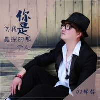 你是伤我最深的那个人 - Single - DJ辉仔