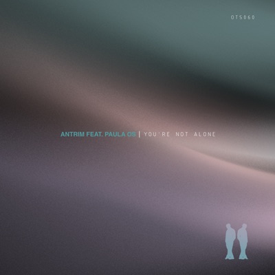 You're Not Alone - Single