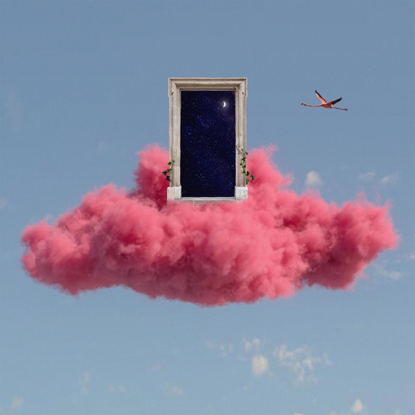 Cover of Flamingo