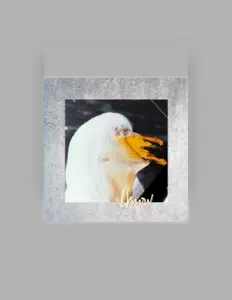 收听 Sigfrid、观看音乐视频、阅读小传、查看巡演日期等 ！