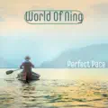 Perfect Pace