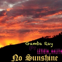 No Sunshine (feat. Leticia.Aaliya) - Single - Gamba Ray