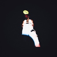 Acid Shower Dreamz (feat. Sinfiniti) [Remix] - Single - Bloodcat