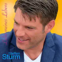 Liebe Meines Lebens — Steffen Sturm