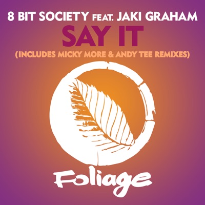 Say It (Micky More & Andy Tee Vocal Mix) cover art