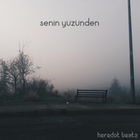 Senin Yüzünden - Single - Heredot Beatz