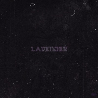 Lavender - Single