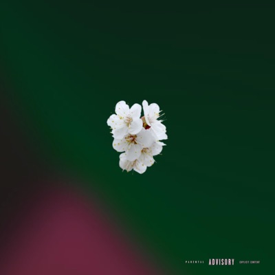 Pissy - Single