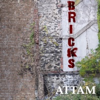 Bricks - Single - ATTAM