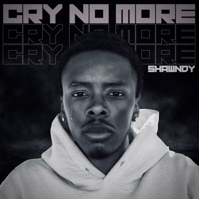 Cry No More (feat. Tylan1k) - Single