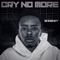 Cry No More (feat. Tylan1k) - Shawndy lyrics