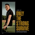 Album - Bruce Springsteen - When She Was My Girl