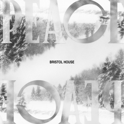 Peace (feat. Matthew Ryan Kerley) - Single