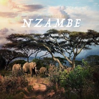 NZAMBE - Single - LB Angolano